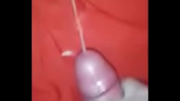 Pirocudo gozando muito