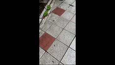 Nonton パート1 今回ご応募いただいた方はみつきさん(27)。 ●どもとお金が欲しくて今の旦那さんと結婚されたそうです。 thumbnail