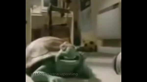 CRISRIANGHOST ES FOLLADO HASTA MORIR Y TERMINA EN CANA CON ENRIQUE PUSSY 