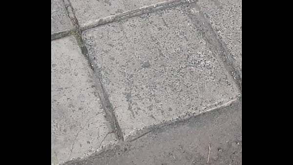 V&iacute_deo de verifica&ccedil_&atilde_o