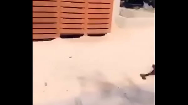 V&iacute_deo de verificaci&oacute_n