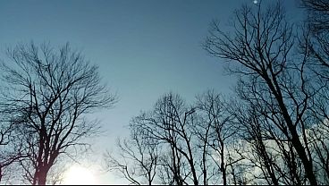 Nonton Intense-prostate Milking Outdoor Cumshot Deep In The Woodz Must See Slow Mo Replay thumbnail