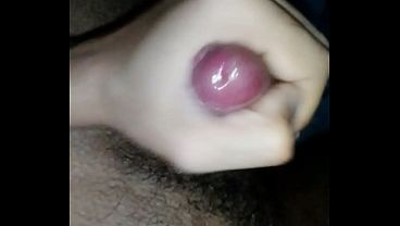 Pau Tes&atilde;o thumbnail