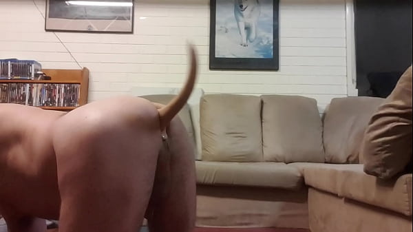 I Like Wagging My Tail With This Puppy Dog Tail Butt Plug. I Had To Thank The Guy Who Made It By Sending Him This thumbnail