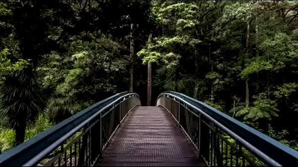 V&iacute_deo de verificaci&oacute_n