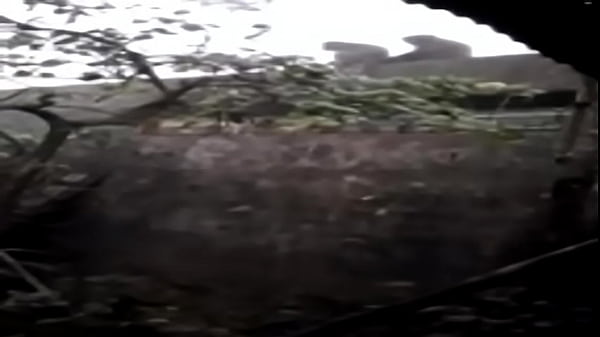 Nonton Monkey (hunney)moon thumbnail