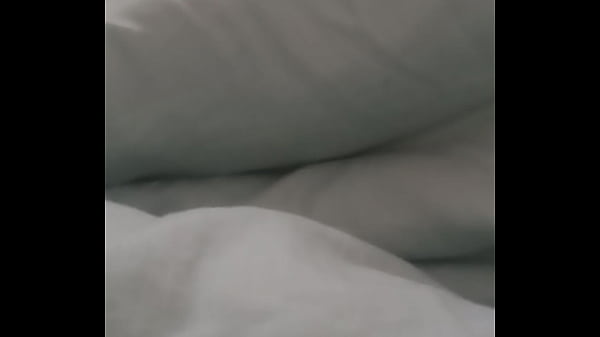 验证视频