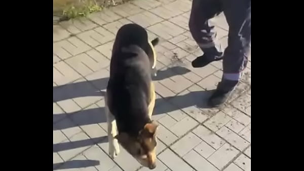 Видео для верификации