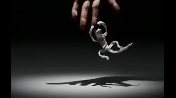 認証動画