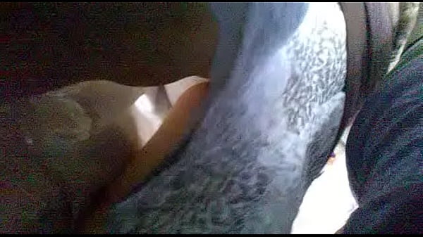 Nonton Upskirts Pte Llacolen thumbnail