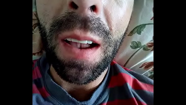 Gato tarado