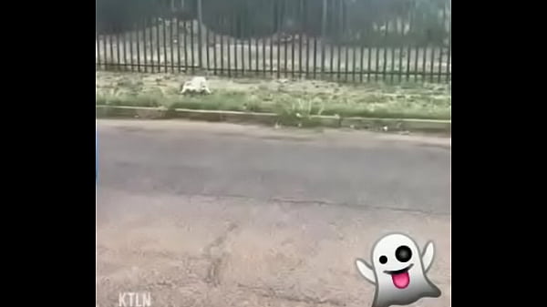 Nonton El V&iacute;deo Que Todos Quieren De Bella Delphine thumbnail