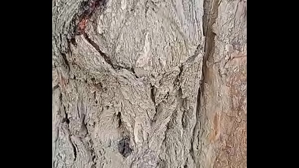 Nonton Verification Video thumbnail