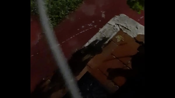 CAT IN THE HAT with a big duck goose 