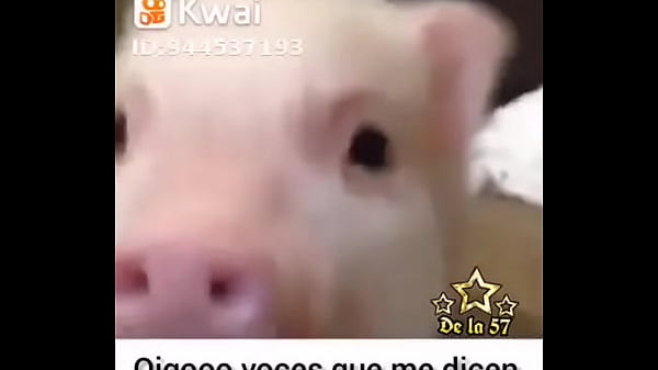 V&iacute_deo de verificaci&oacute_n