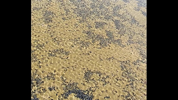 验证视频