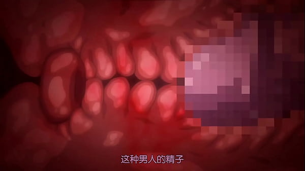 验证视频