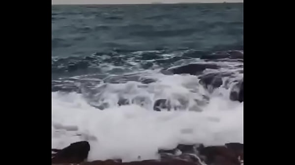 验证视频