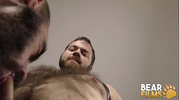 Hairy Young Bear Drills Slutty Daddy Raw thumbnail