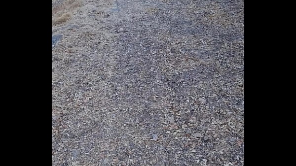 Nonton Allez Venez Je Vous Am&egrave;ne Dans Le Maquis Corse Pour Une Exib Hummmm thumbnail