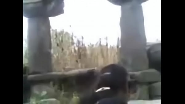 Nonton Indian Village Girl Fucked Outdoor By Her Lover Nice Cunt Action thumbnail