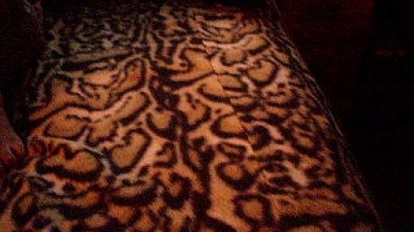 Nonton Panocha-45 thumbnail