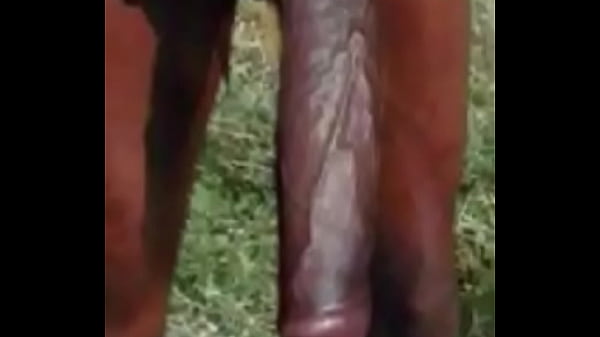 Vid-20161220-wa0169 thumbnail