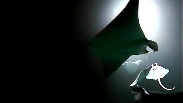 Nonton Conga Squad - Sunshine Groove - Mobula Gang thumbnail