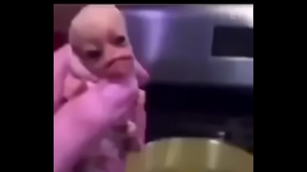 Nonton Twerk thumbnail