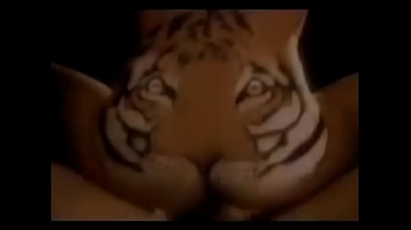 Tiger Eating thumbnail