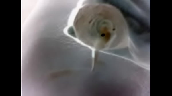 Video 2015 02 08 19 26 09 