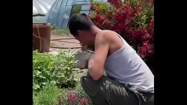 验证视频