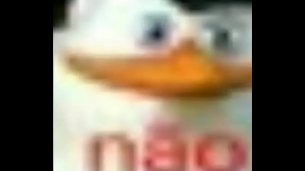 V&iacute_deo de verifica&ccedil_&atilde_o