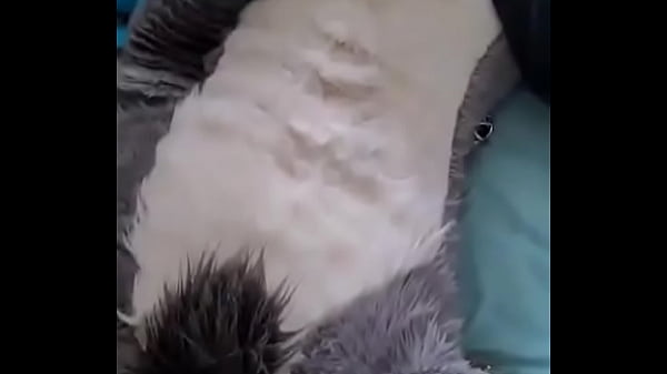 Furry Gozando Bastante thumbnail