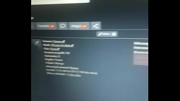 V&iacute_deo de verifica&ccedil_&atilde_o