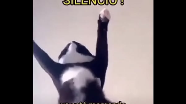 V&iacute_deo de verifica&ccedil_&atilde_o