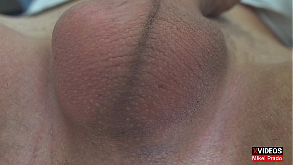 Eggs And Scrotum thumbnail