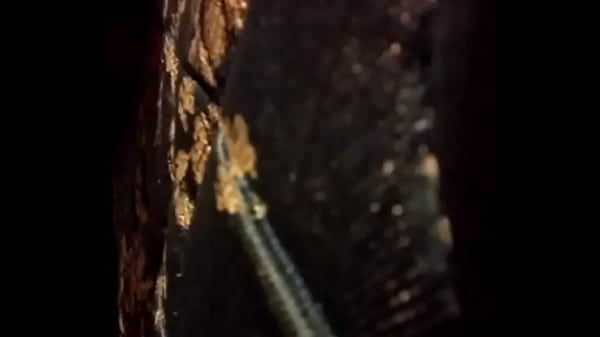 Riding My Poney thumbnail