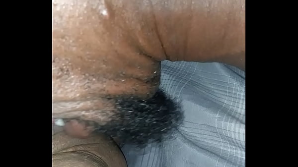 Mr. Long tongue