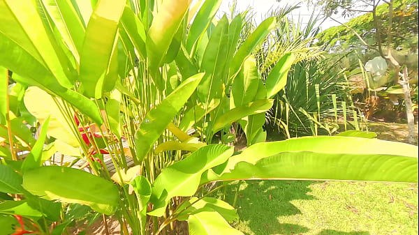 Nonton Reencuentro De Exnovios Termina En Una Corrida En Las Tetas thumbnail