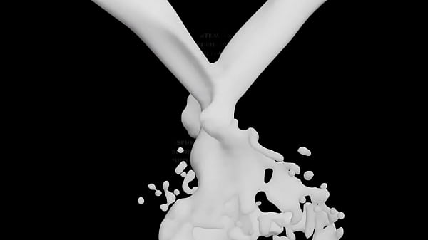 LECHE 2