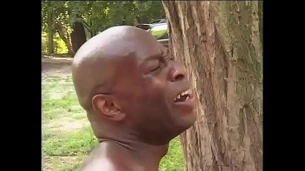 Nonton The Black Farmer And The White Bitch thumbnail