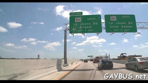 Lusty And Racy Homosexual Banging thumbnail