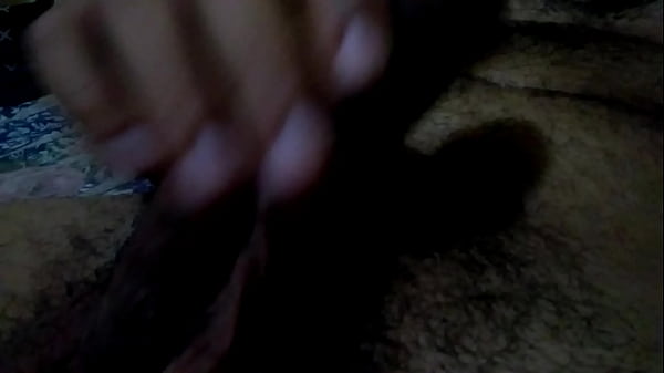 Meu pau