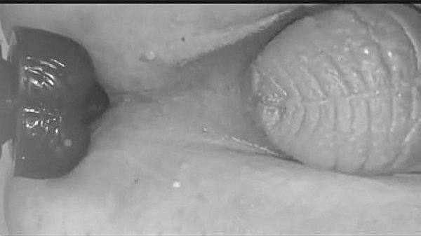 Dildo Xxgaycams.com For More Hot Webcam Guys thumbnail