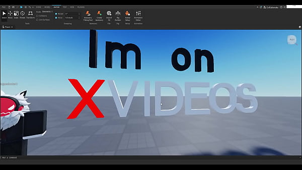 Verification video