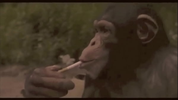 'beauty & The Beast', My Secret Life thumbnail