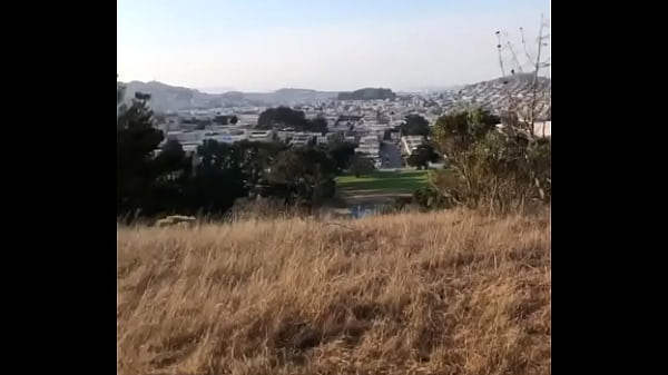 V&iacute_deo de verificaci&oacute_n