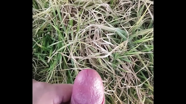 Outdoor cum