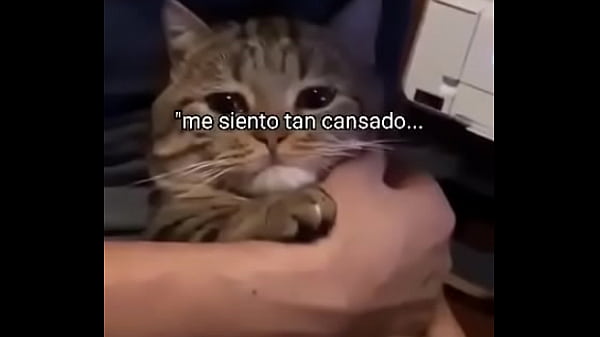 V&iacute_deo de verificaci&oacute_n